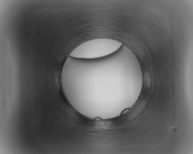 X0000102270234200807250904