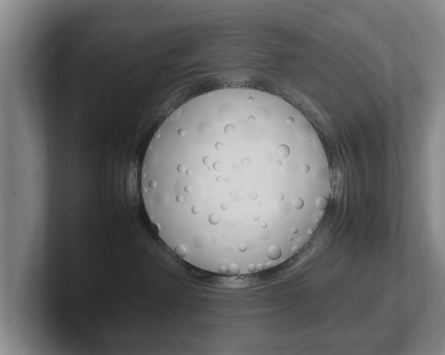 X0000102270238200807250904
