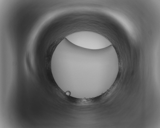 X0000102270239200807250904
