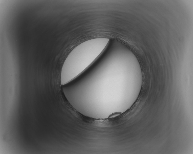 X0000102270240200807250904