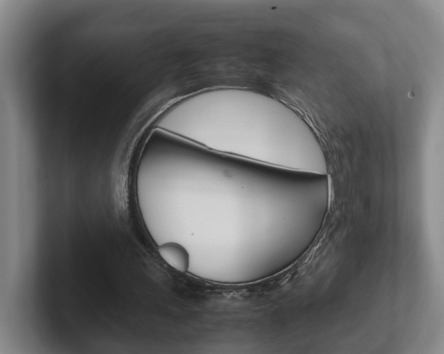 X0000102270243200807250903