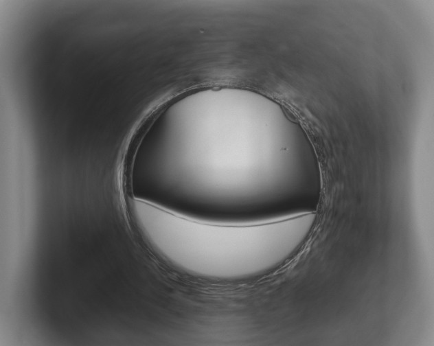 X0000102270244200807250903