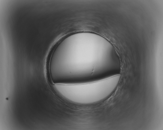 X0000102270248200807250903