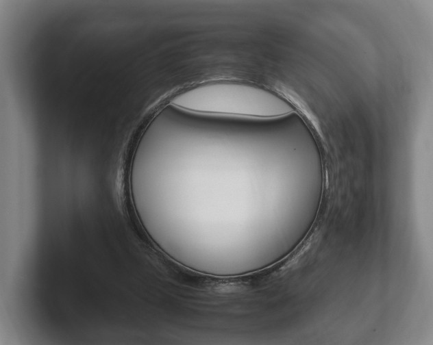 X0000102270249200807250903