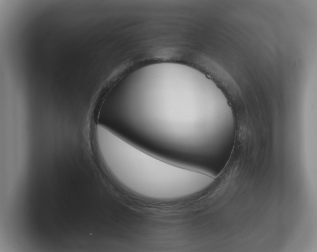X0000102270256200807250903