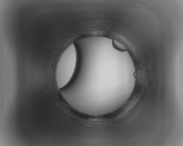 X0000102270259200807250903