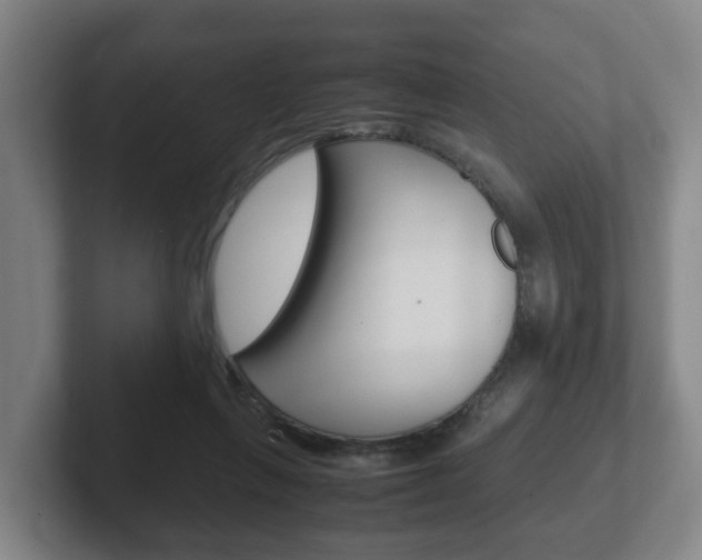X0000102270263200807250903