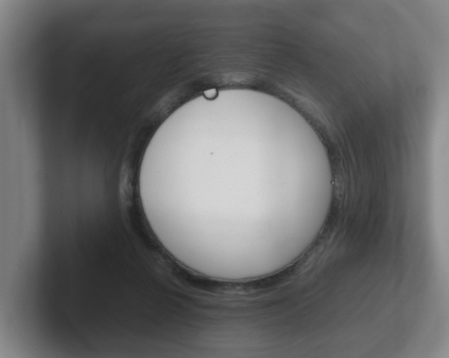 X0000102270264200807250903