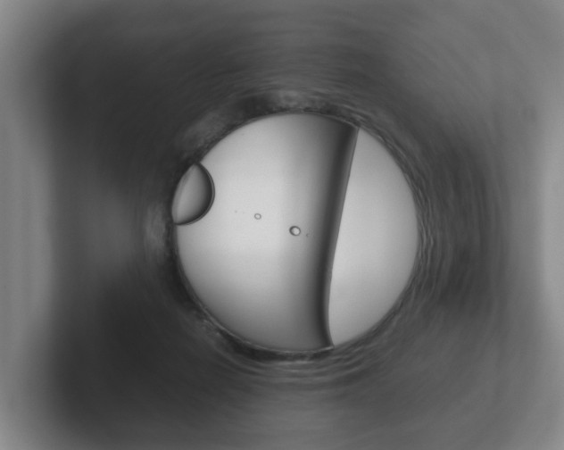 X0000102270266200807250903