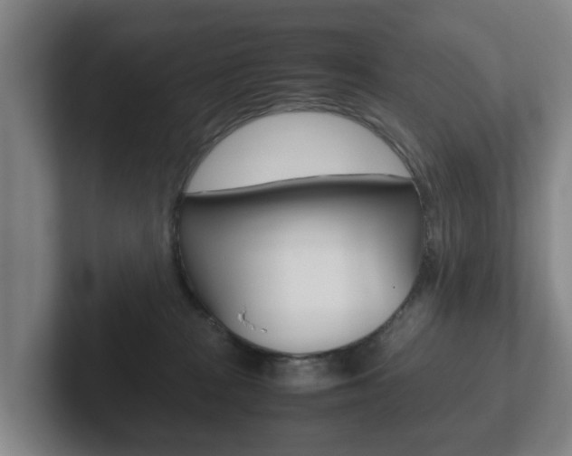 X0000102270277200807250904