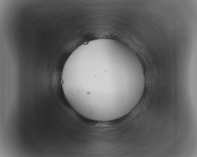 X0000102270280200807250904