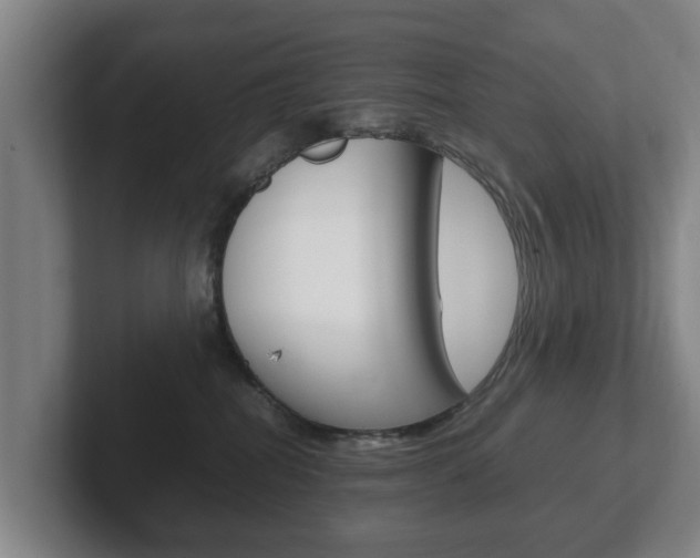 X0000102270282200807250904