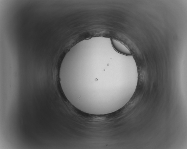 X0000102270283200807250904
