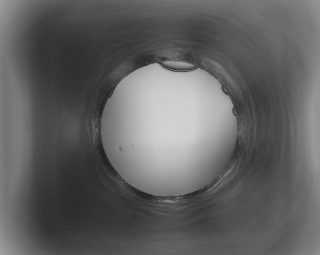 X0000102270285200807250904