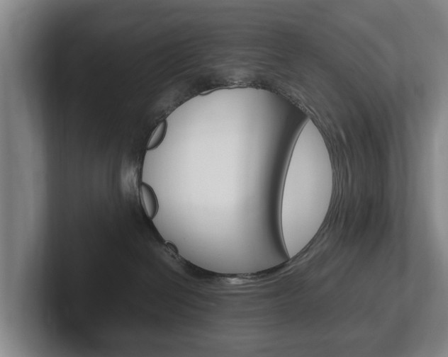 X0000102270286200807250904