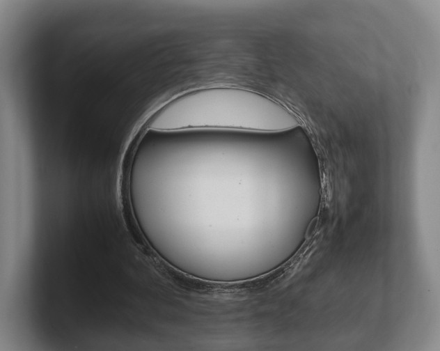 X0000102270292200807250903