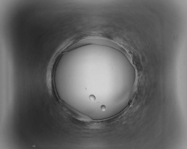 X0000102270293200807250903