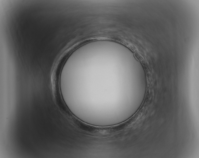 X0000102270295200807250903