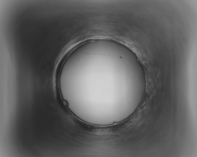 X0000102270296200807250903