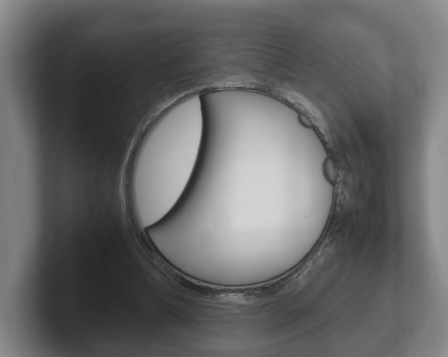 X0000102270298200807250903