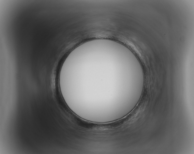 X0000102270299200807250903