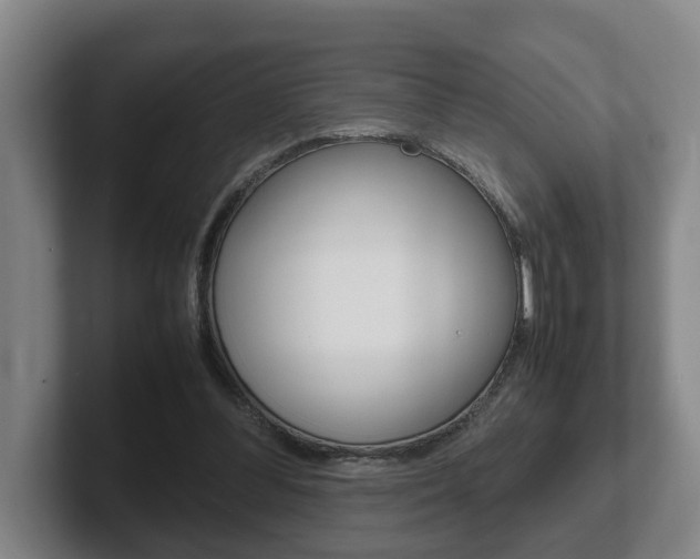 X0000102270300200807250903