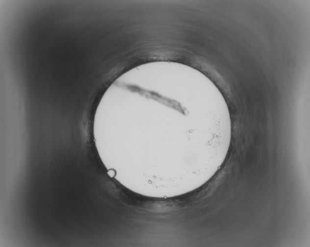 X0000102270305200807250903