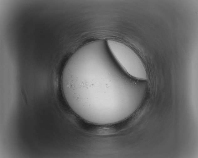 X0000102270315200807250903