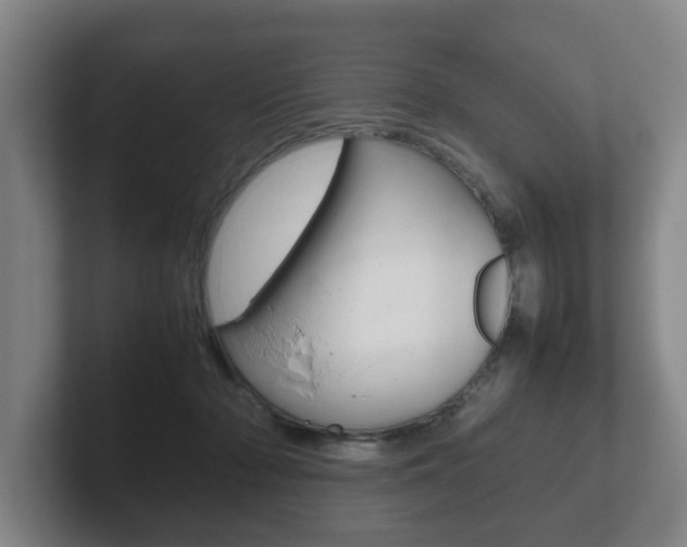 X0000102270318200807250903