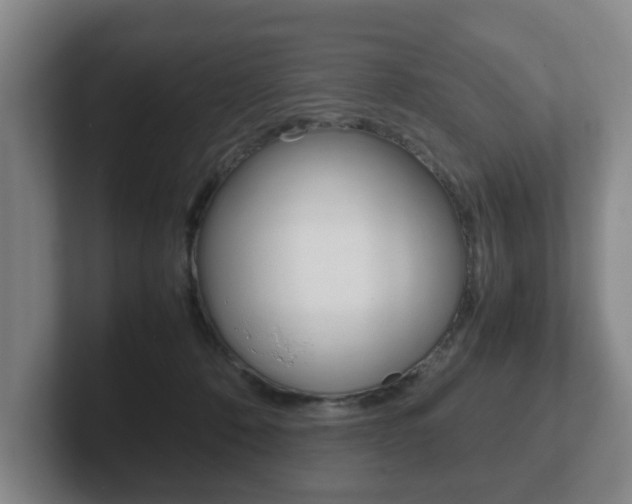 X0000102270320200807250903