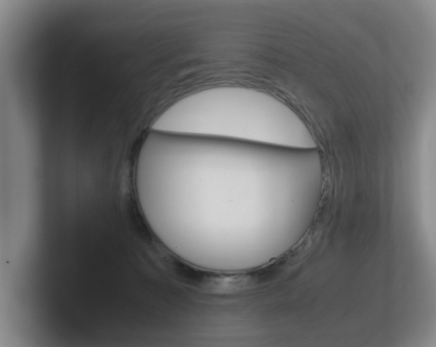 X0000102270323200807250903