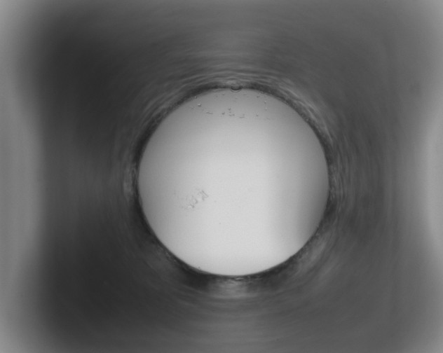 X0000102270325200807250903