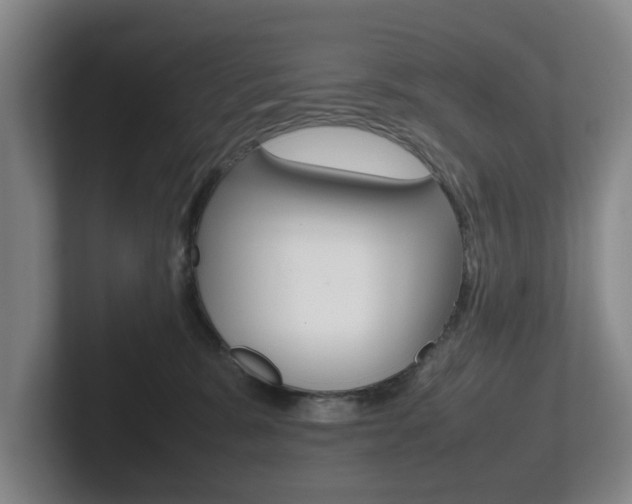 X0000102270327200807250903