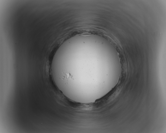 X0000102270328200807250903