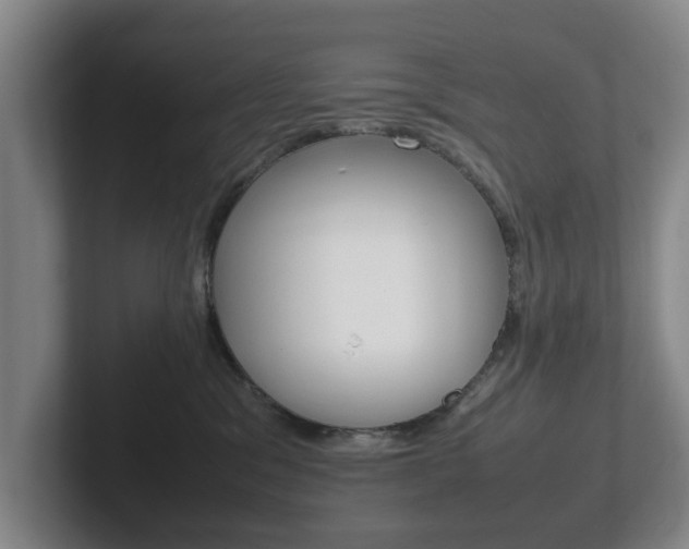 X0000102270329200807250903