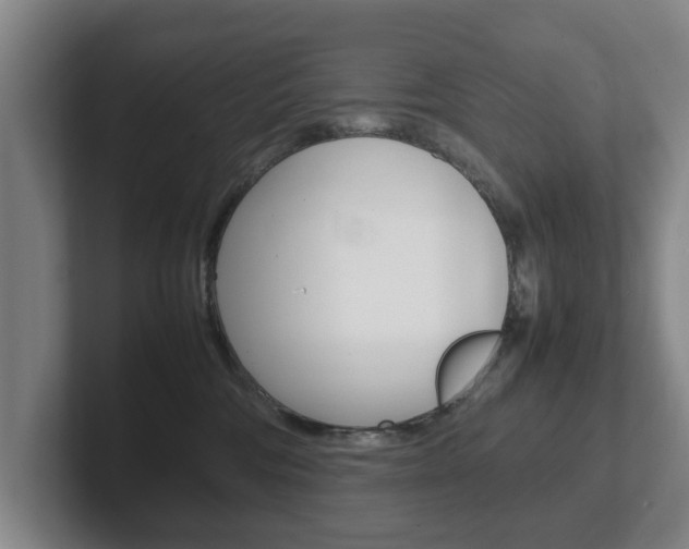 X0000102270330200807250903