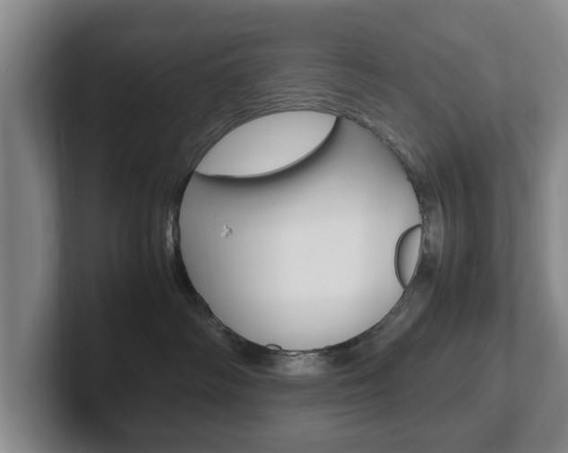 X0000102270334200807250903