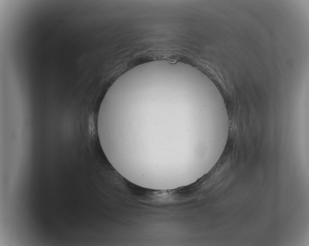 X0000102270335200807250903