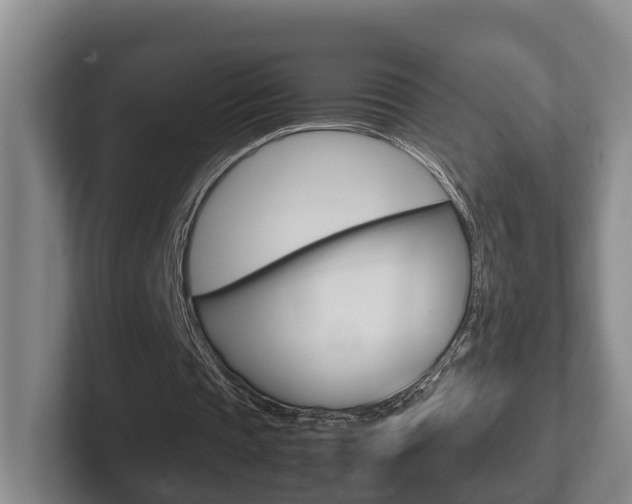 X0000102270337200807250902