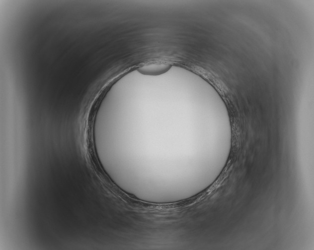X0000102270338200807250902