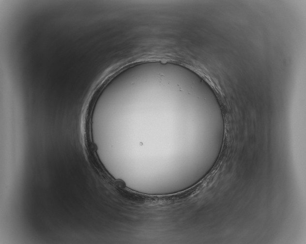 X0000102270340200807250902