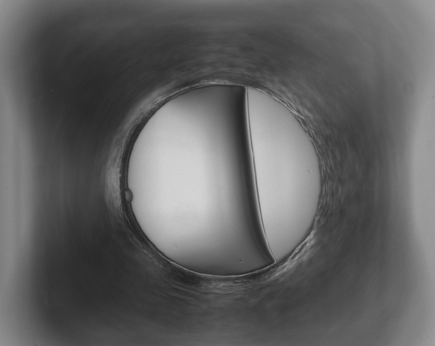 X0000102270341200807250902