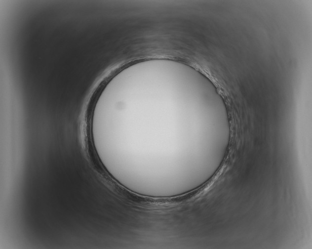 X0000102270342200807250902