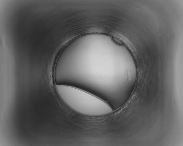 X0000102270345200807250902