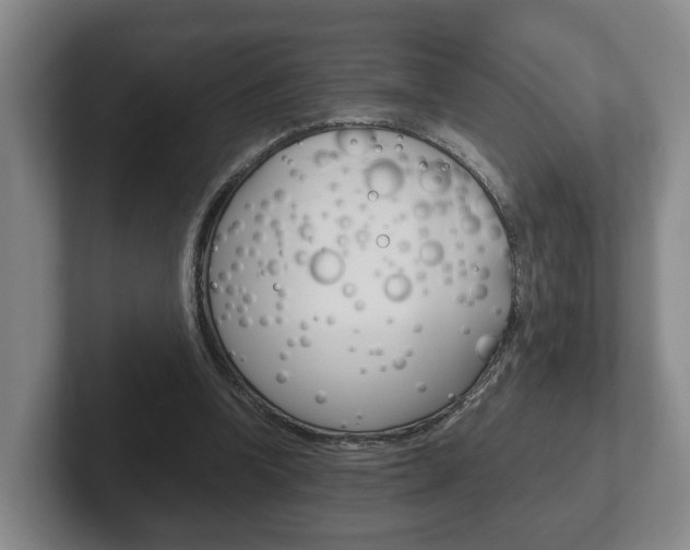 X0000102270346200807250902