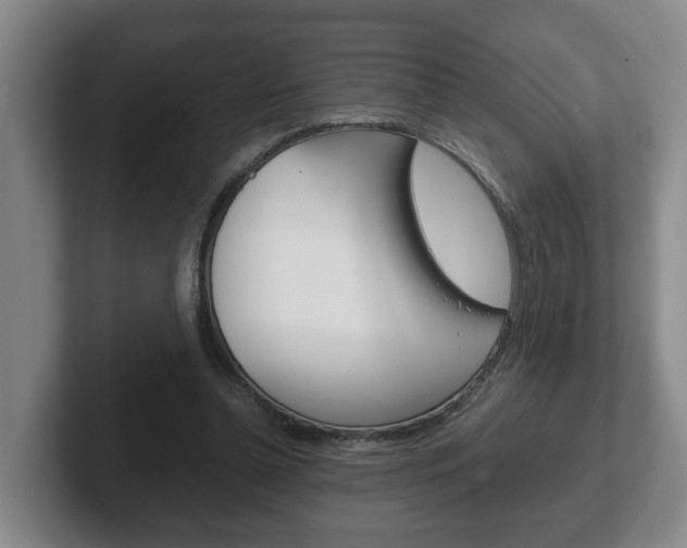 X0000102270348200807250902