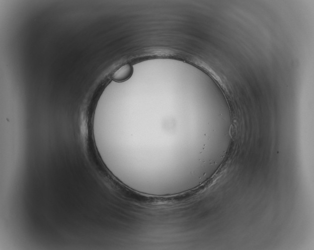 X0000102270350200807250902