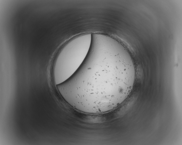 X0000102270351200807250902