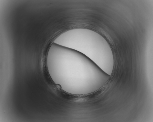 X0000102270356200807250902