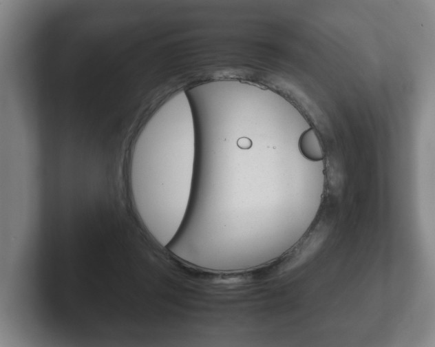 X0000102270357200807250902
